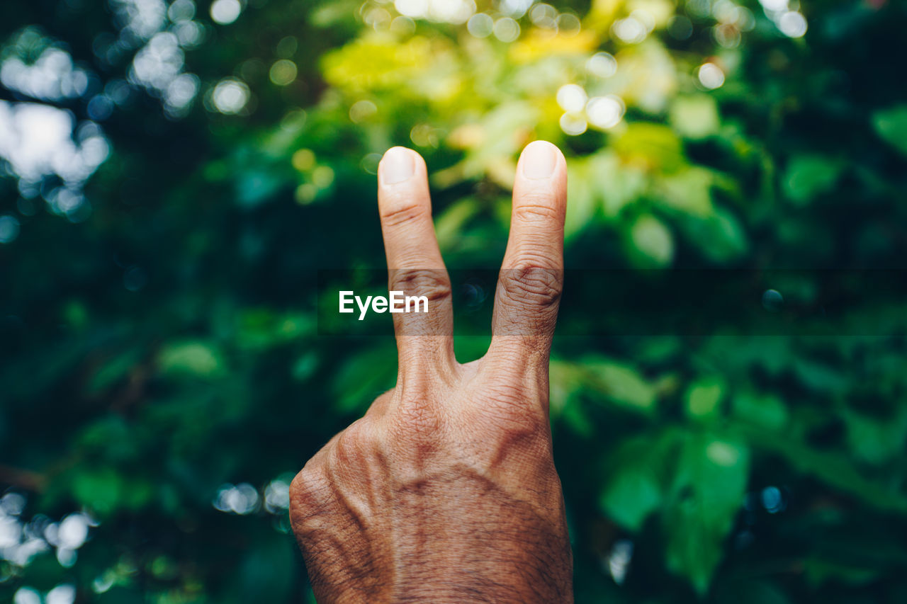 Cropped hand gesturing peace sign against plants