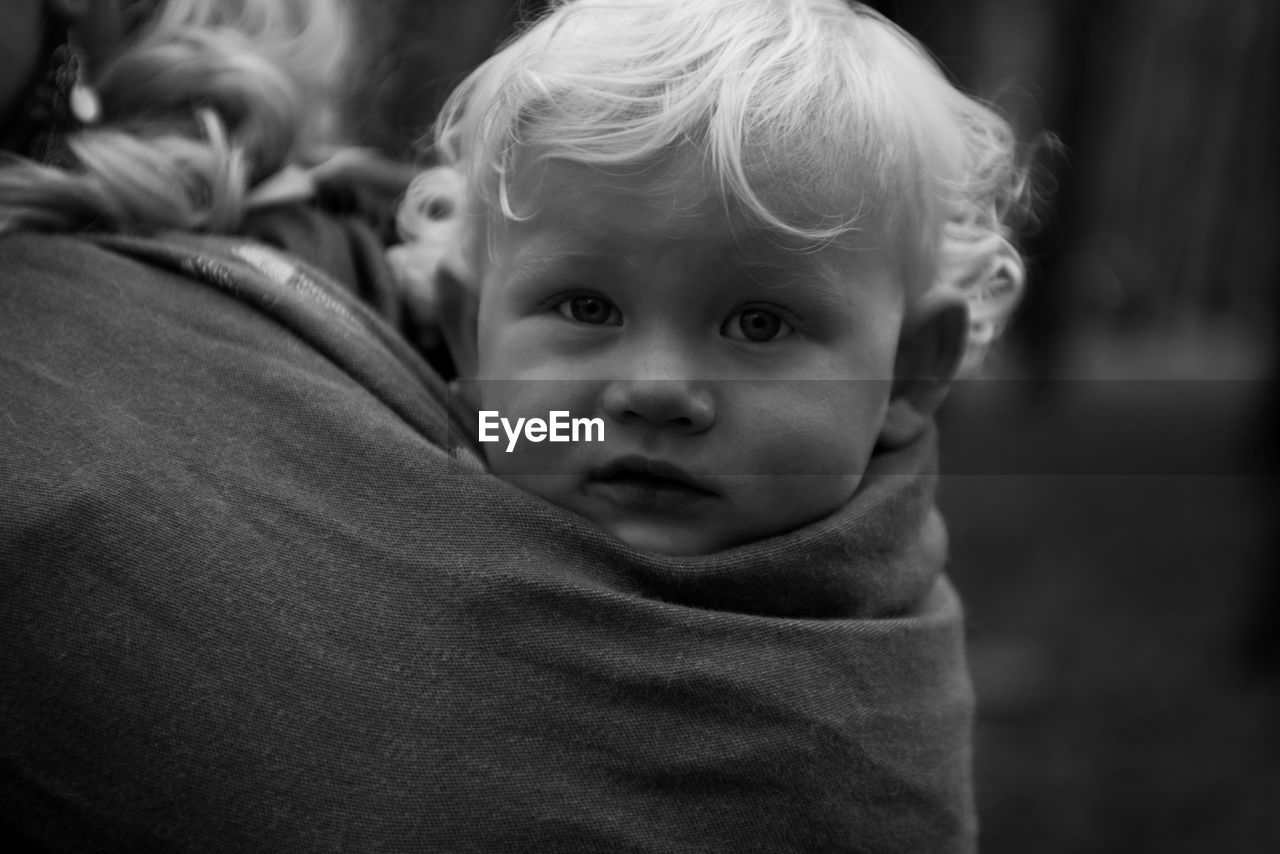 Portrait of baby boy in carrier