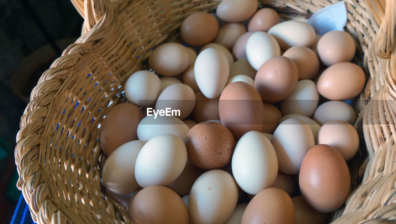 CLOSE-UP OF EGGS IN PLATE