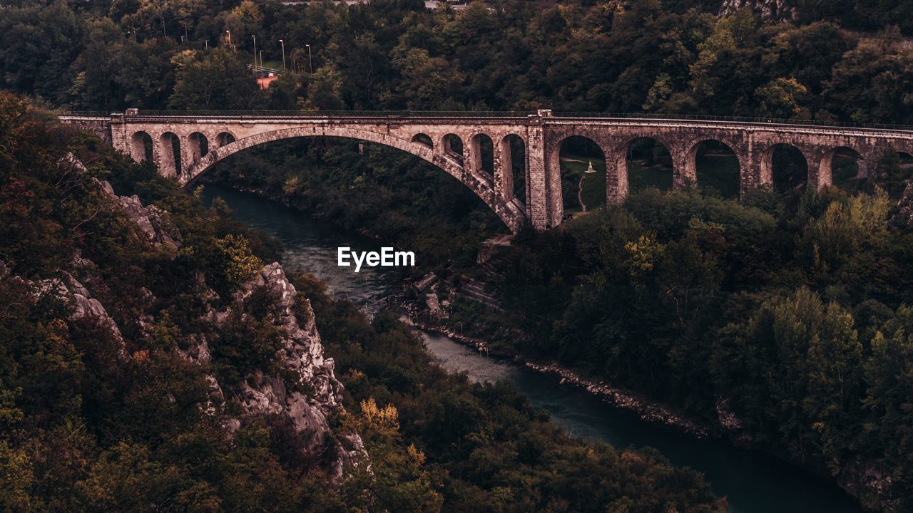 Arch bridge over river amidst trees