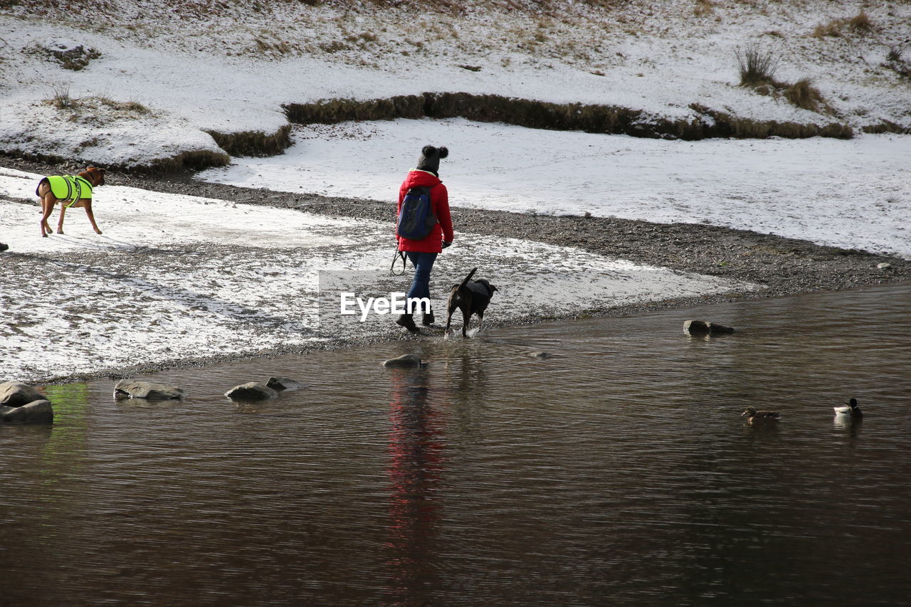 Man with dog walking on beach