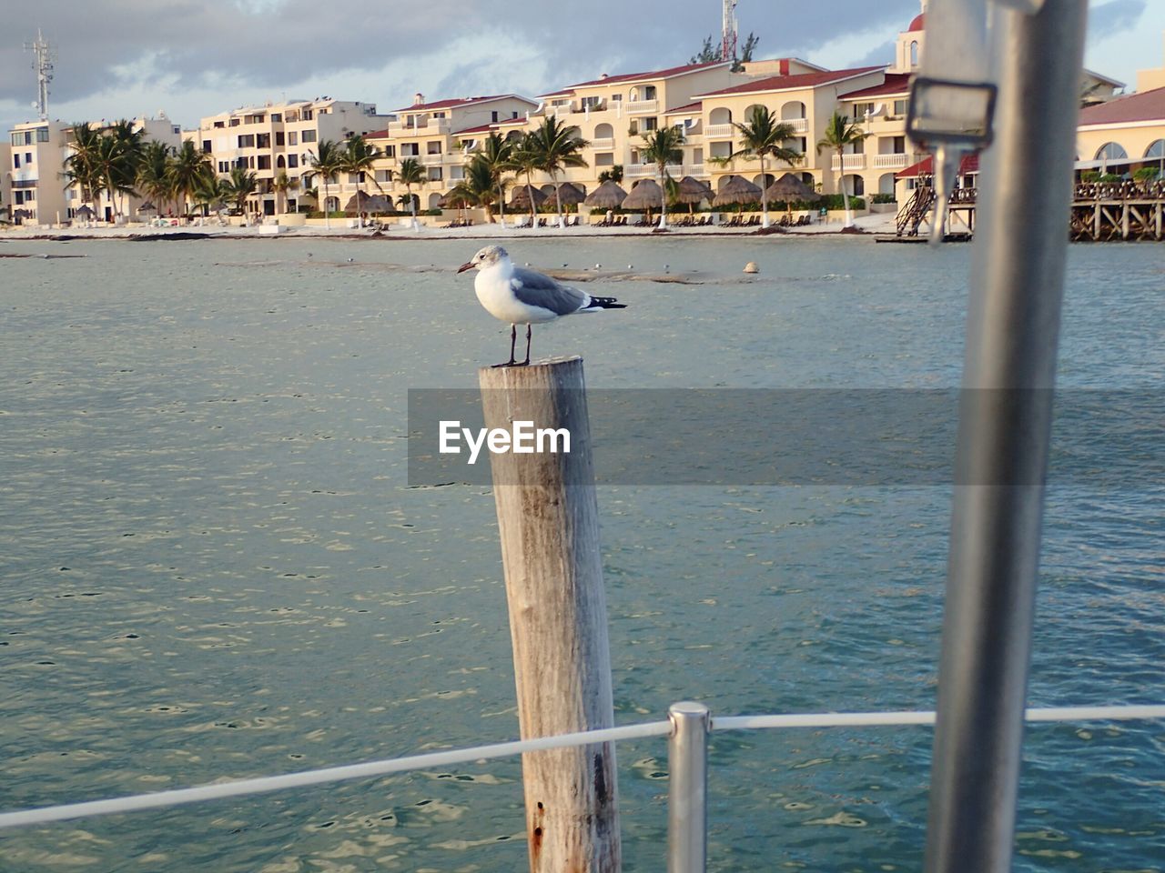 SEAGULL PERCHING ON SEA SHORE AGAINST SKY