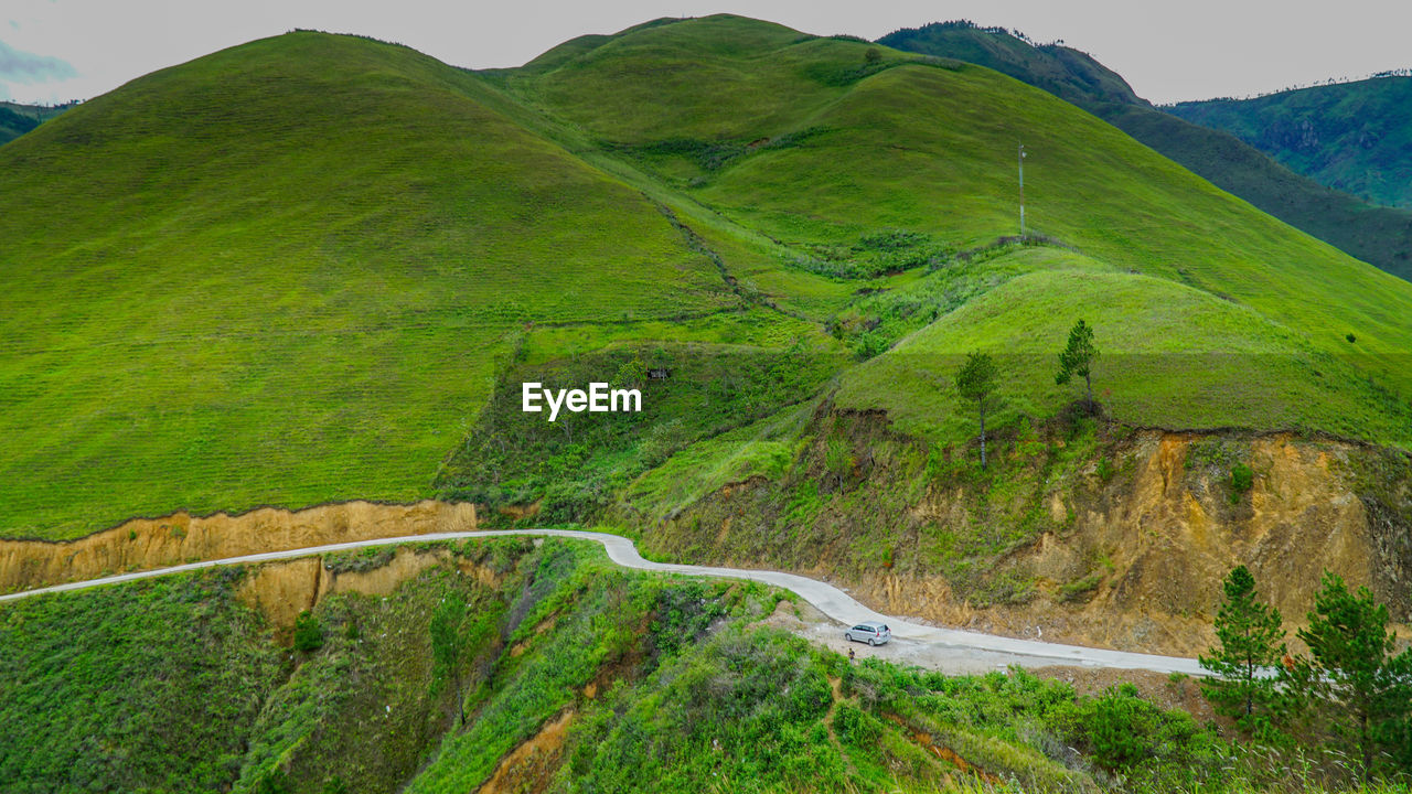 Scenic view of green landscape