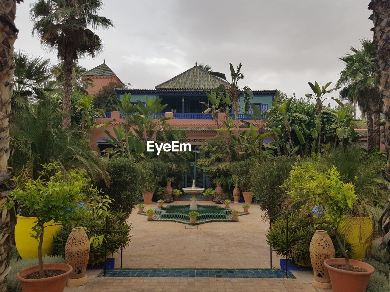 POTTED PLANTS BY SWIMMING POOL AGAINST BUILDINGS