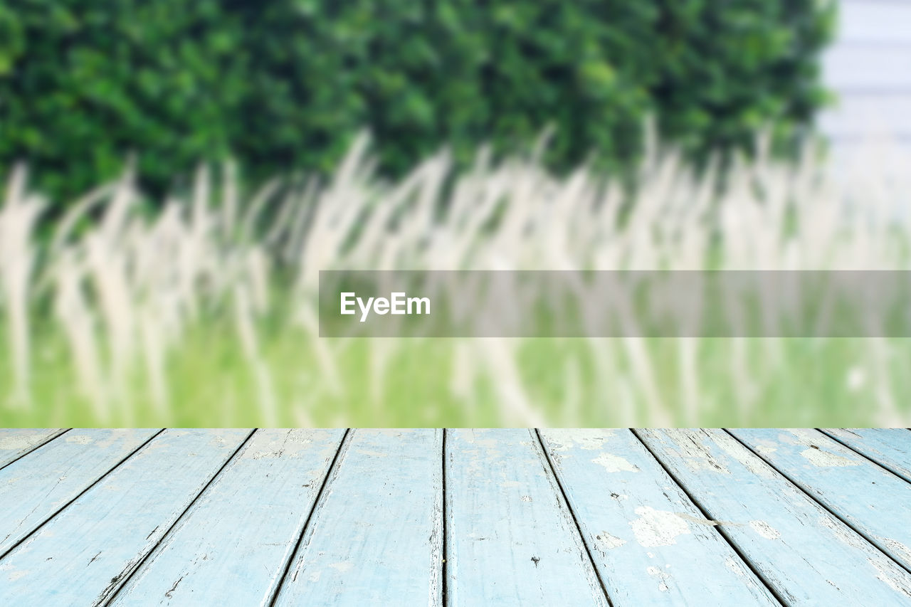 Close-up of wooden pier over lake
