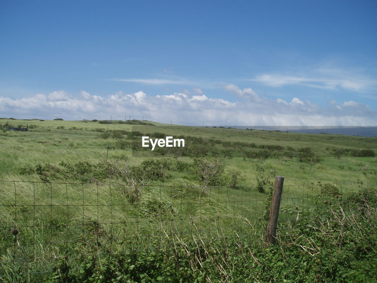 SCENIC VIEW OF LANDSCAPE AND BLUE SKY