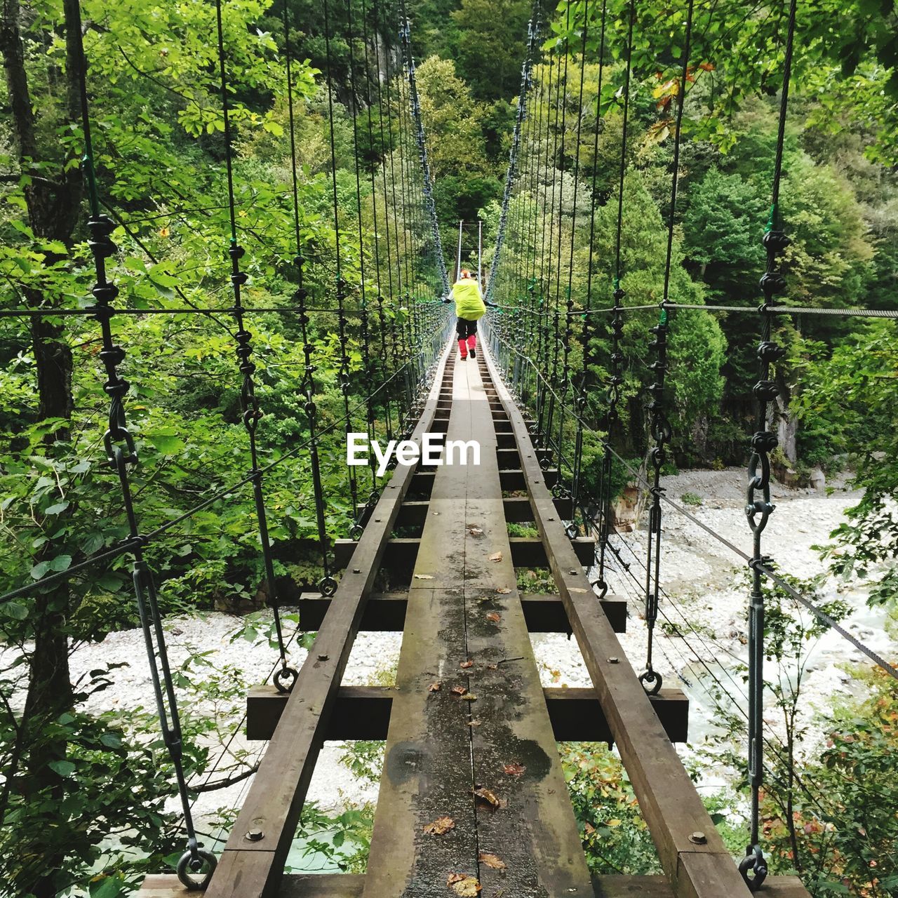 Suspended footbridge amidst trees in forest