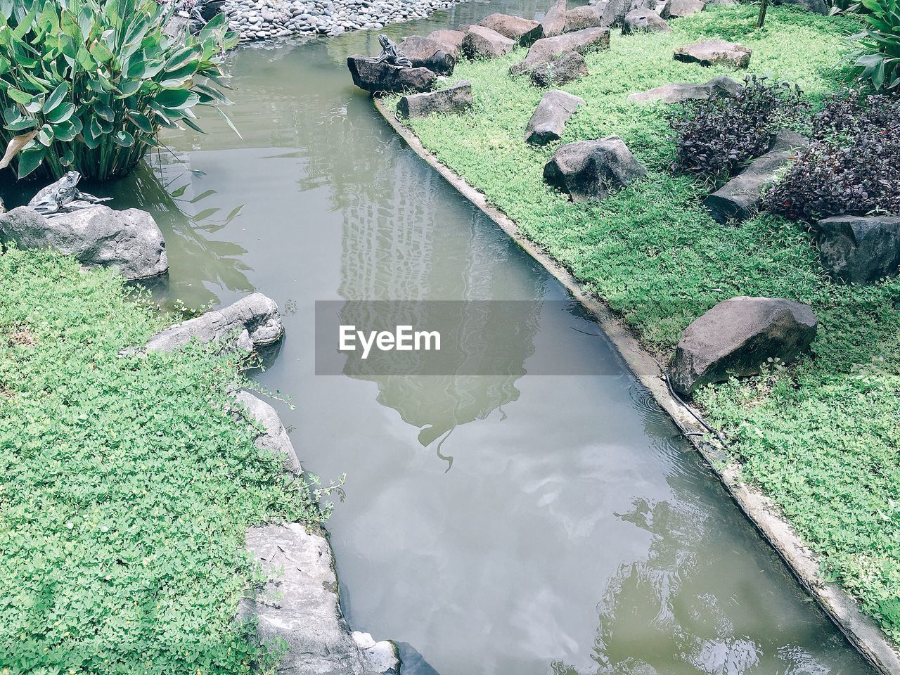 HIGH ANGLE VIEW OF BIRD ON ROCK BY GRASS