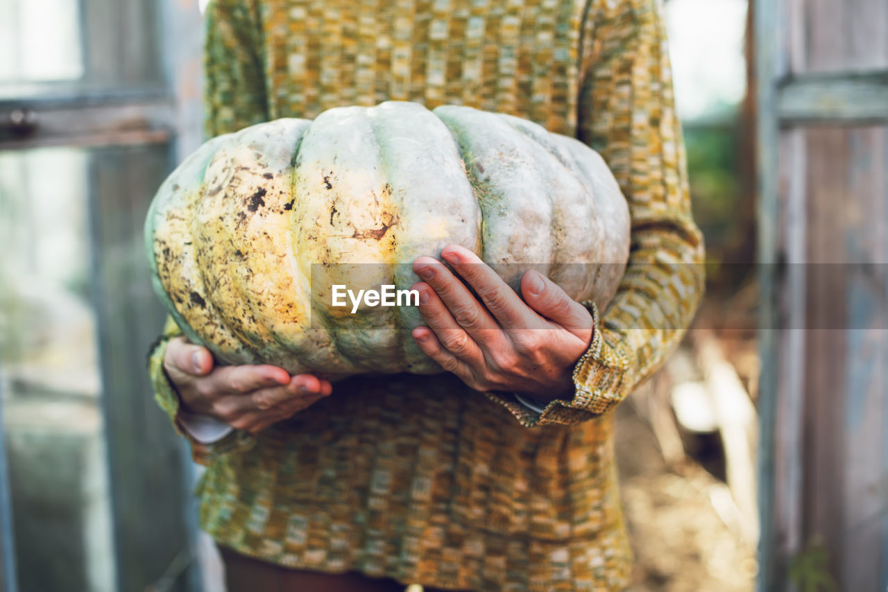 Young woman holding in hands big pumpkin crop yields collected from garden. thanksgiving preparation