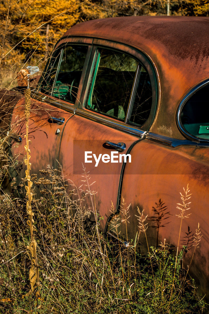 Plants growing by abandoned car parked in field