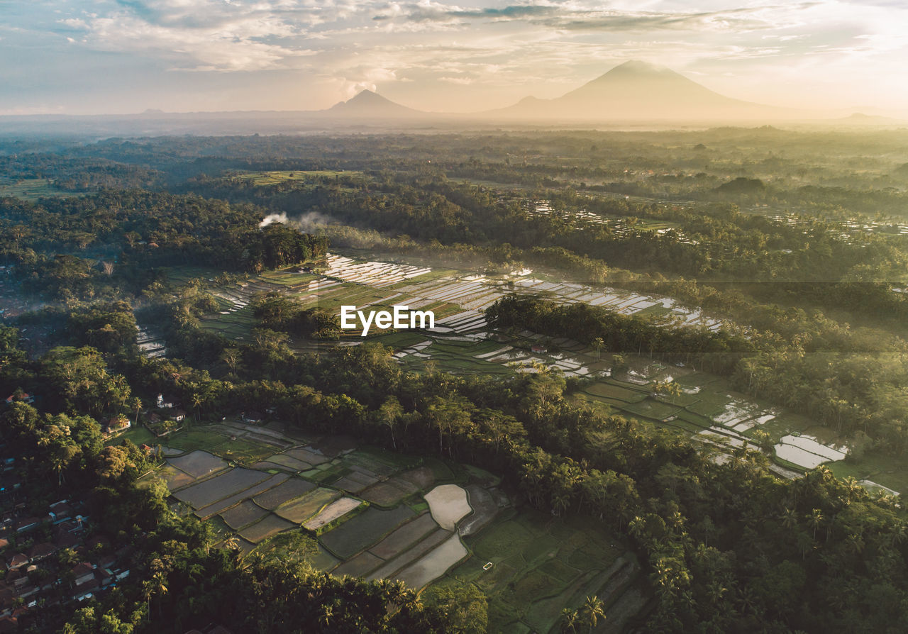 High angle view of rice fields against sky