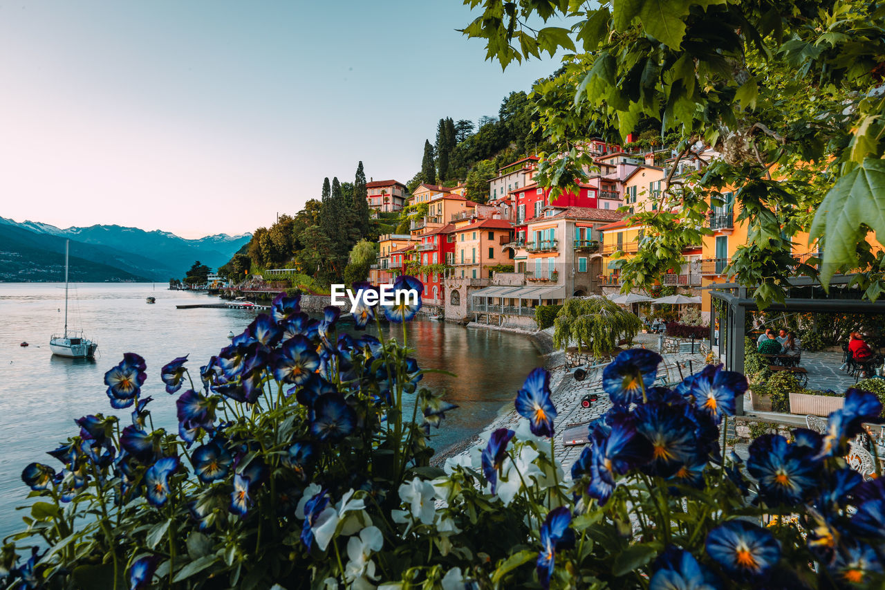 Panoramic view of the village of varenna on lake como with colorful flowers in the foreground