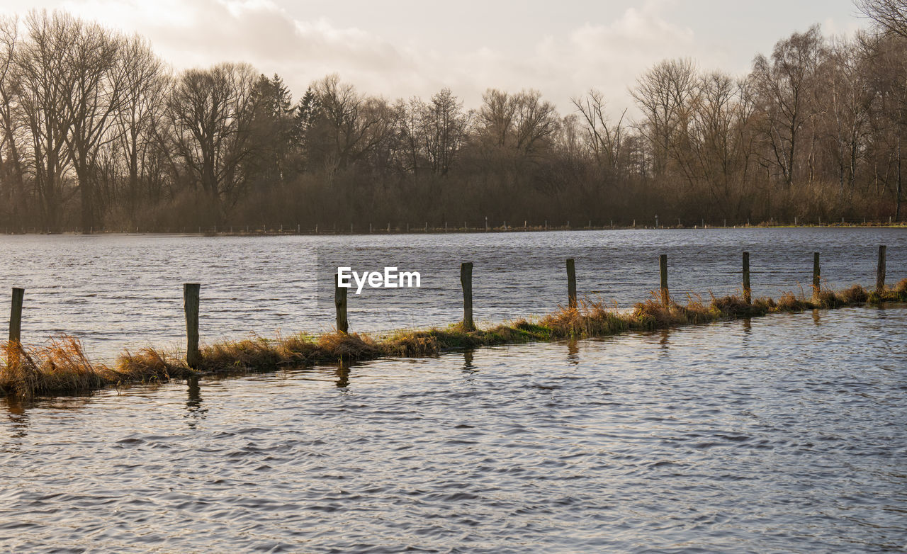 water, reflection, nature, river, winter, tree, shore, sky, plant, no people, beauty in nature, morning, scenics - nature, environment, tranquility, cloud, tranquil scene, landscape, wetland, animal, snow, wood, animal themes, outdoors, animal wildlife, day, non-urban scene, fence, bare tree, wooden post, post, land, bird