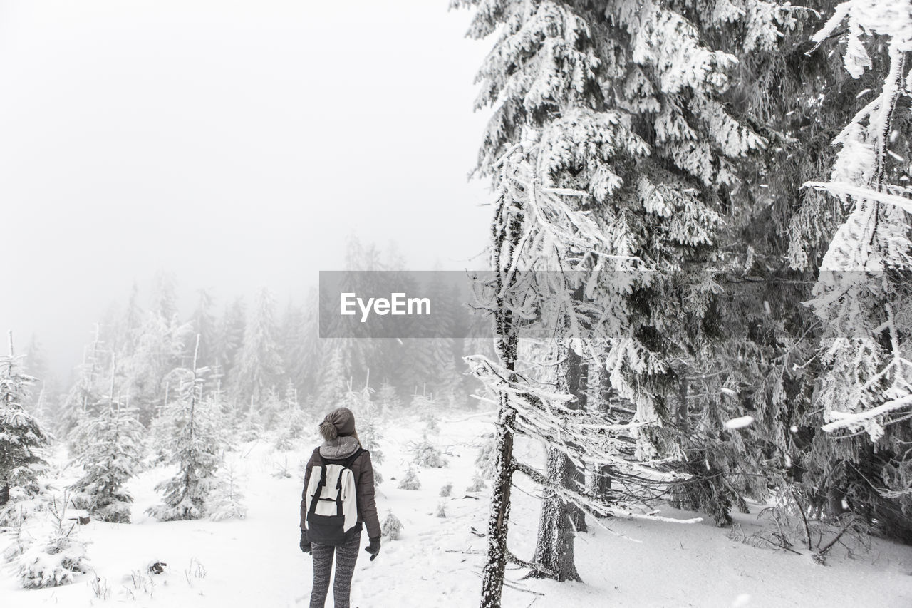 Rear view of hiker looking at frozen trees in forest