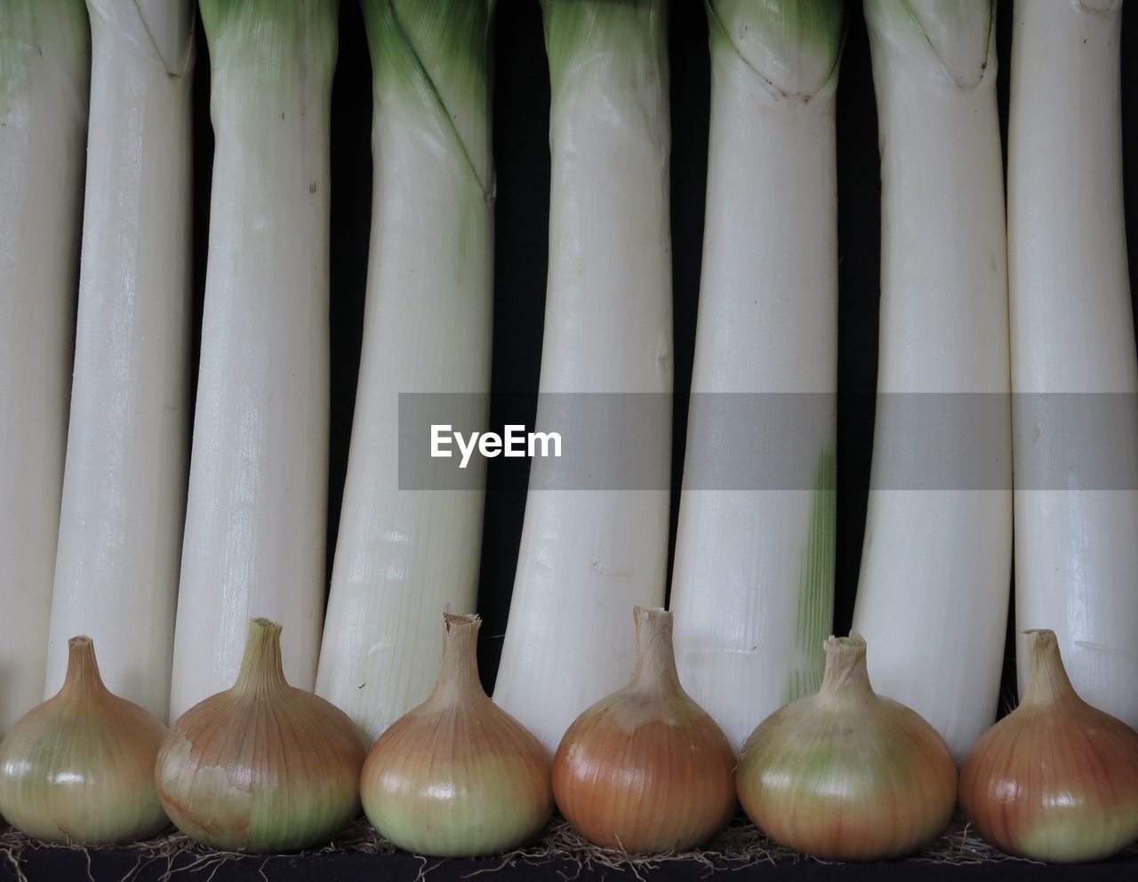 Close-up of onions