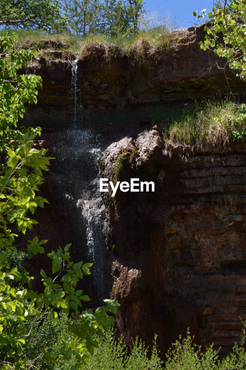 WATERFALL IN FOREST