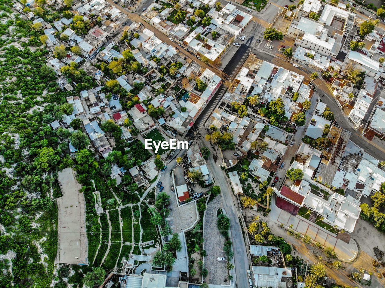 HIGH ANGLE VIEW OF TREES BY BUILDING