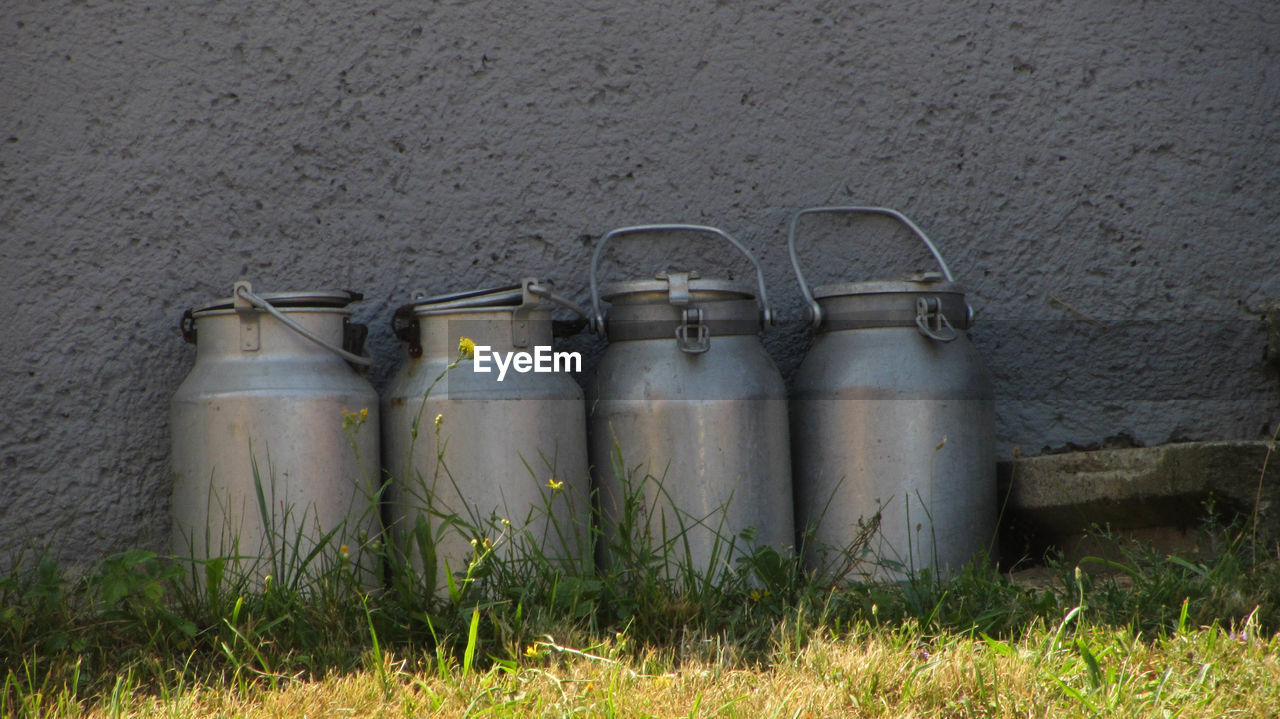 Fresh cow milk in milk cans on a dairy farm