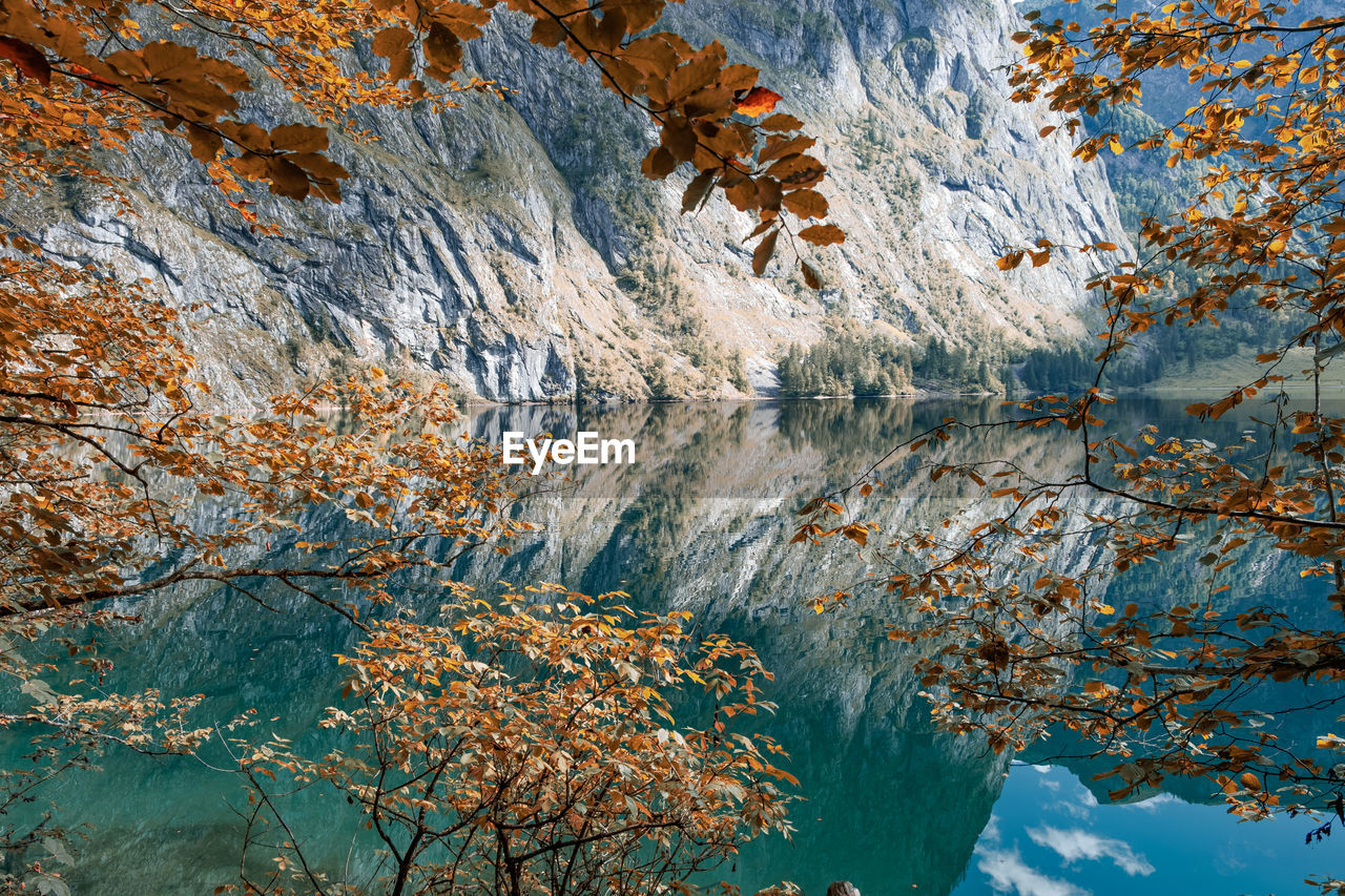 Low angle view of autumn trees and rocks