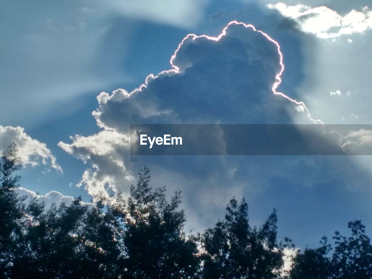 LOW ANGLE VIEW OF TREES AGAINST CLOUDY SKY