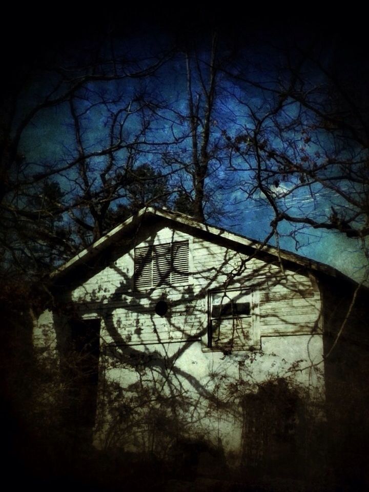 LOW ANGLE VIEW OF BARE TREES AGAINST THE SKY