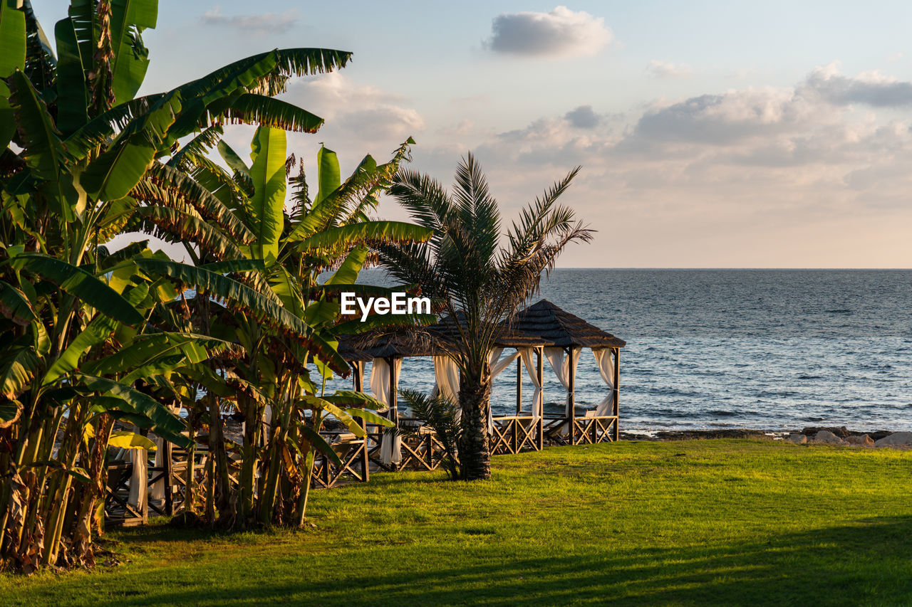 Scenic view of wooden beach cabanas surrounded by palm trees against sky and sea