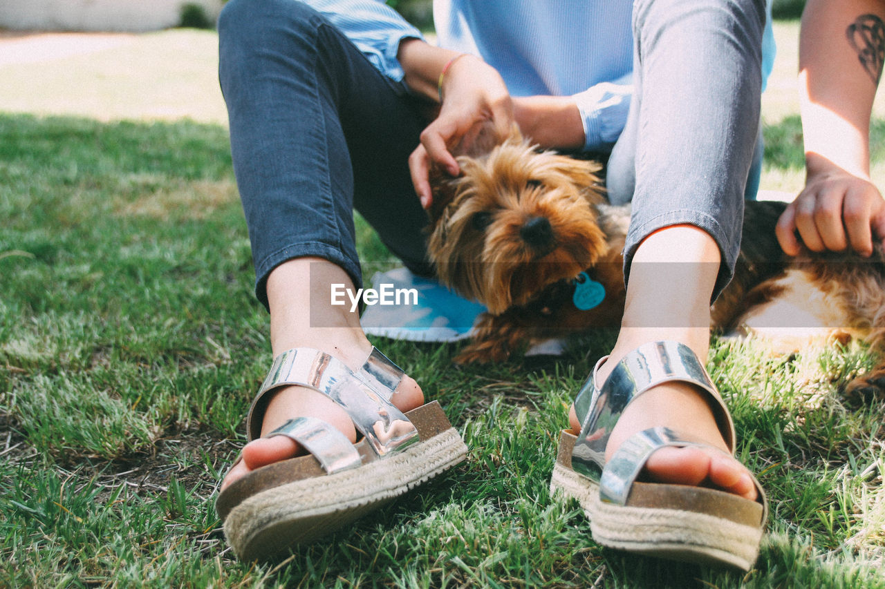 LOW SECTION OF WOMAN WITH DOG ON GRASS