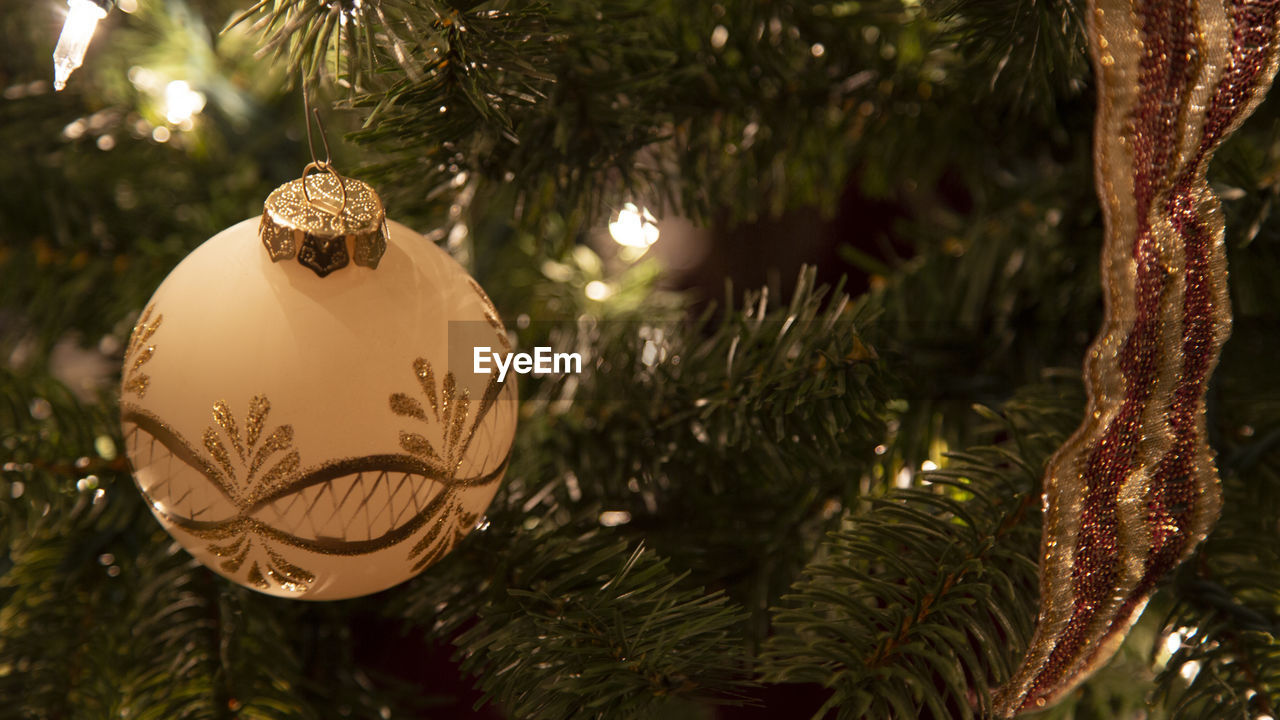 Close-up of christmas decoration hanging on tree