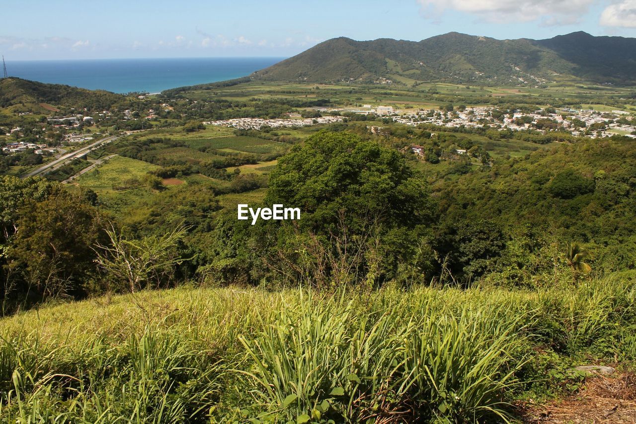 Scenic view of village at seashore