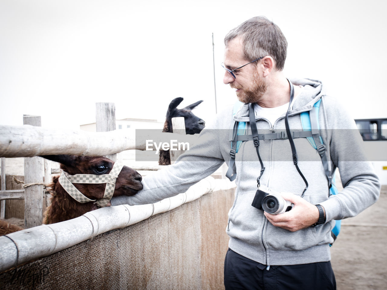 Mature man looking at goat while standing at farm against sky