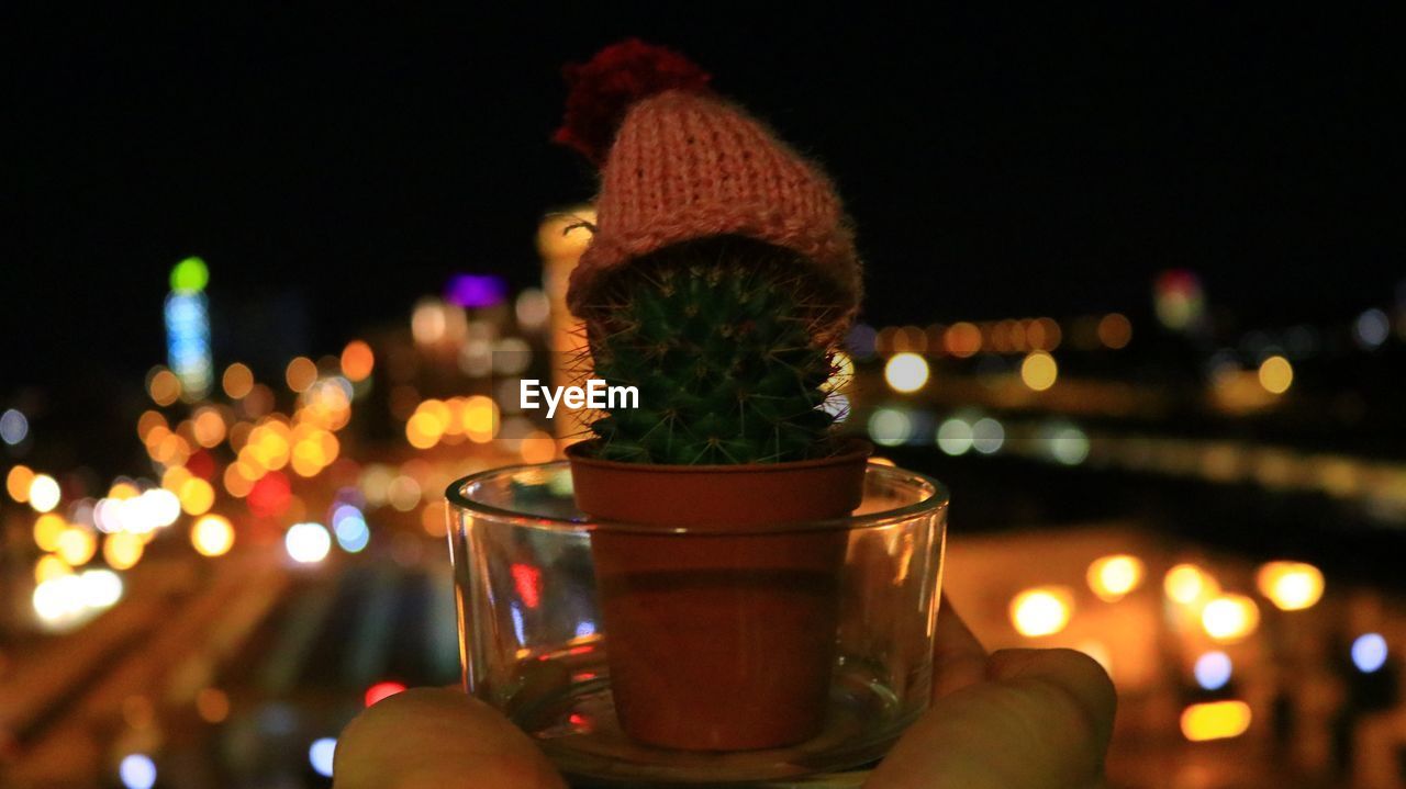 Close-up of person holding potted plant in city against sky at night