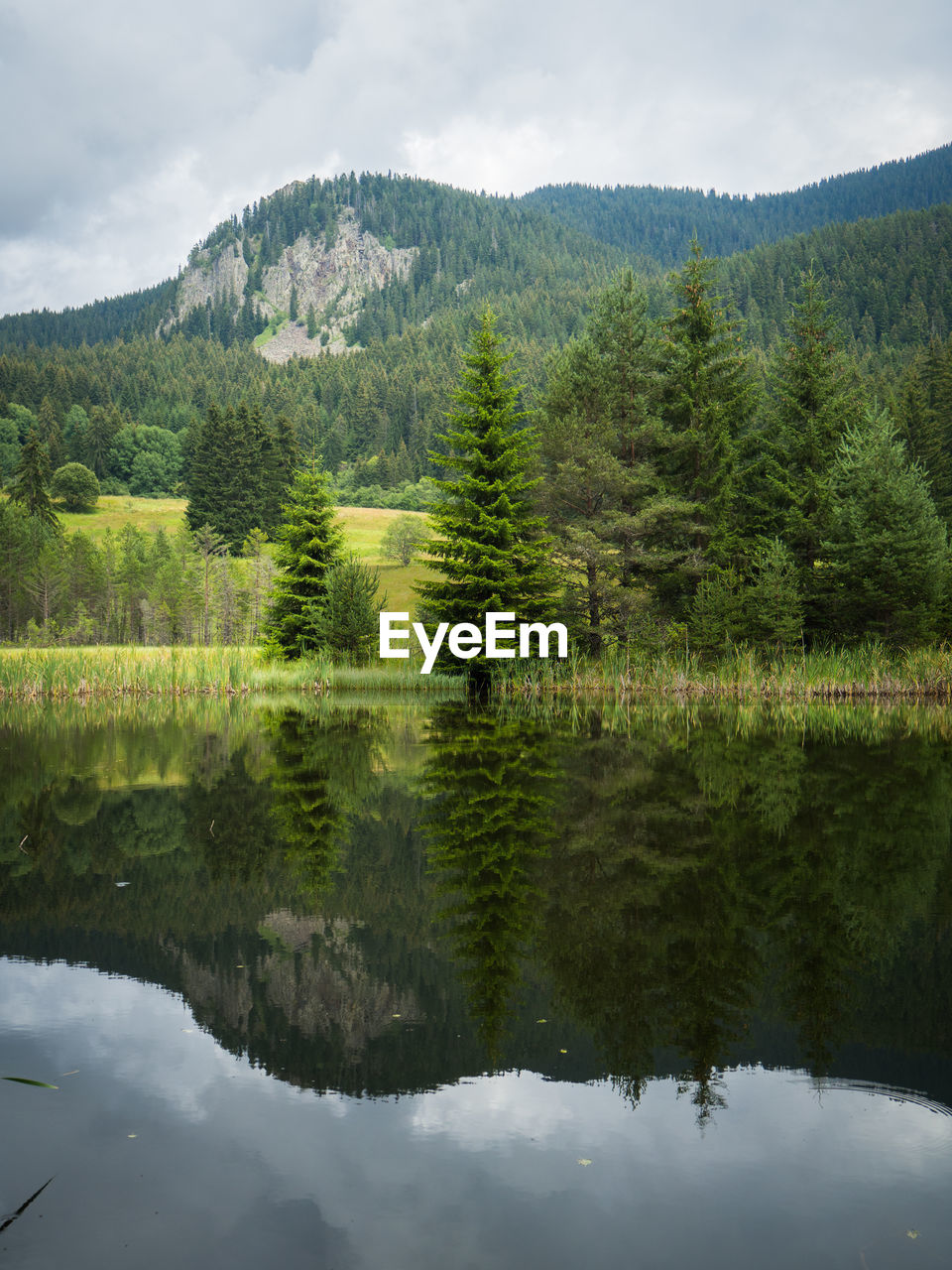 Scenic view of lake by trees against sky