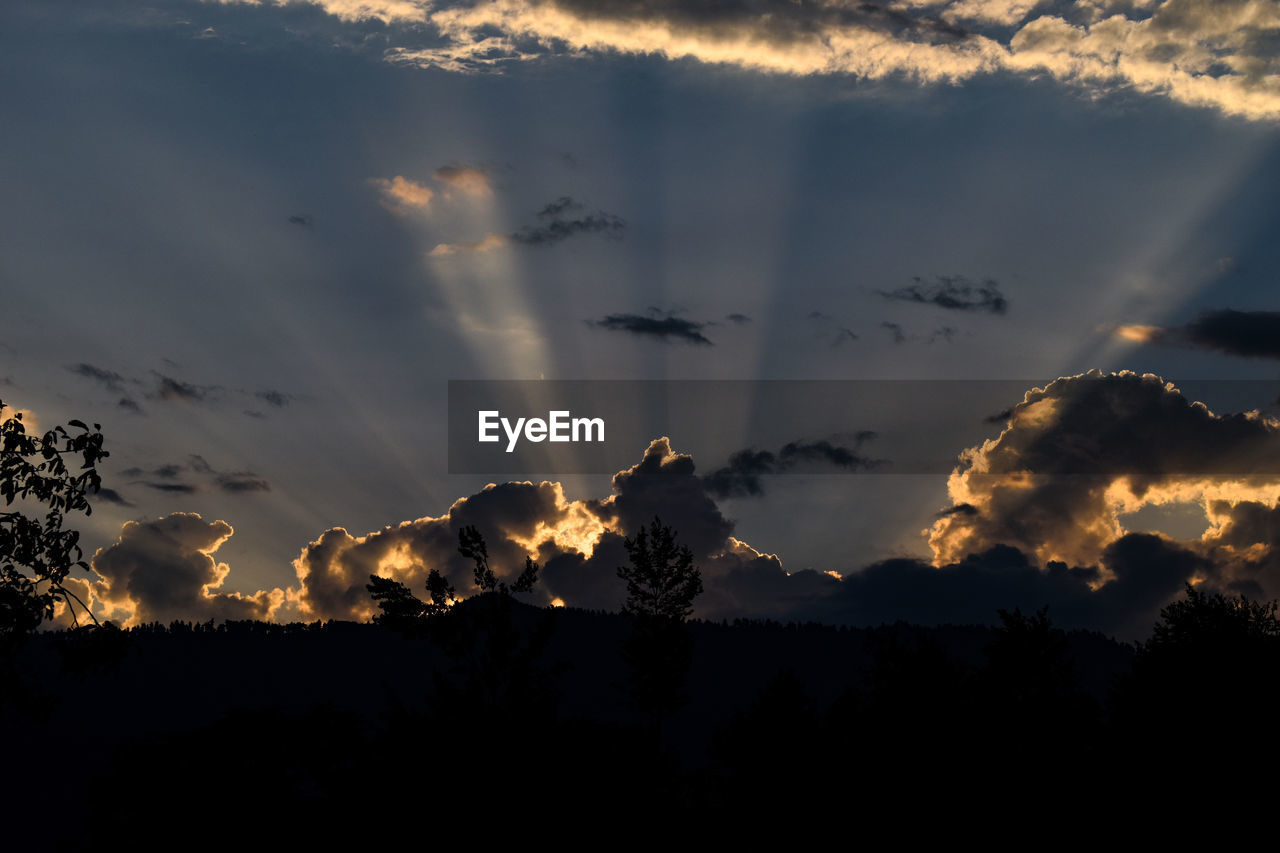 Low angle view of silhouette trees against sky during sunset