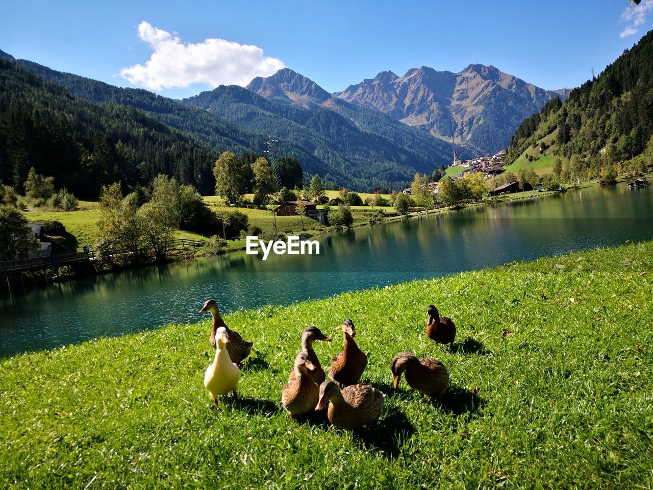 SCENIC VIEW OF LAKE AGAINST MOUNTAINS