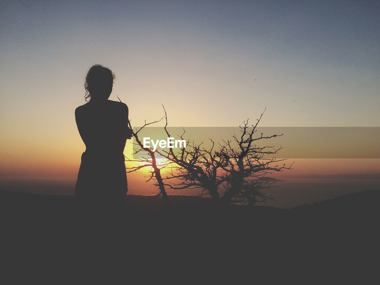 SILHOUETTE WOMAN STANDING BY TREE AGAINST SKY DURING SUNSET