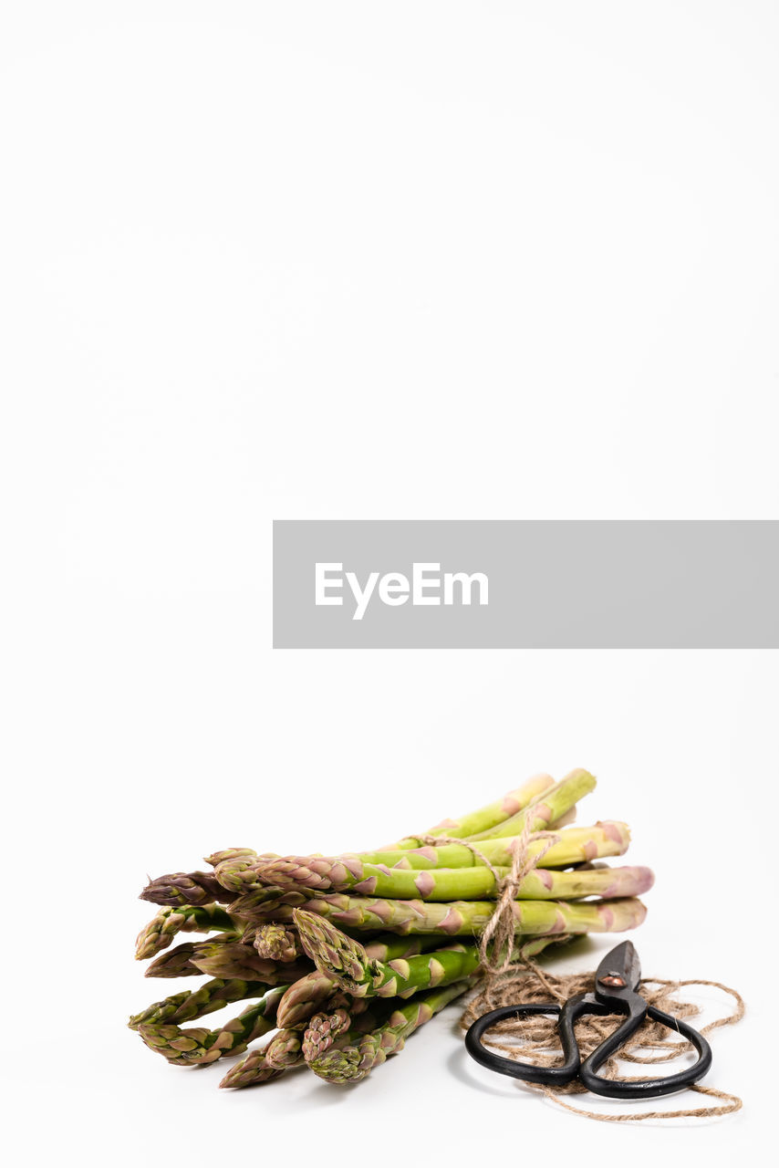 CLOSE-UP OF BREAD IN CONTAINER