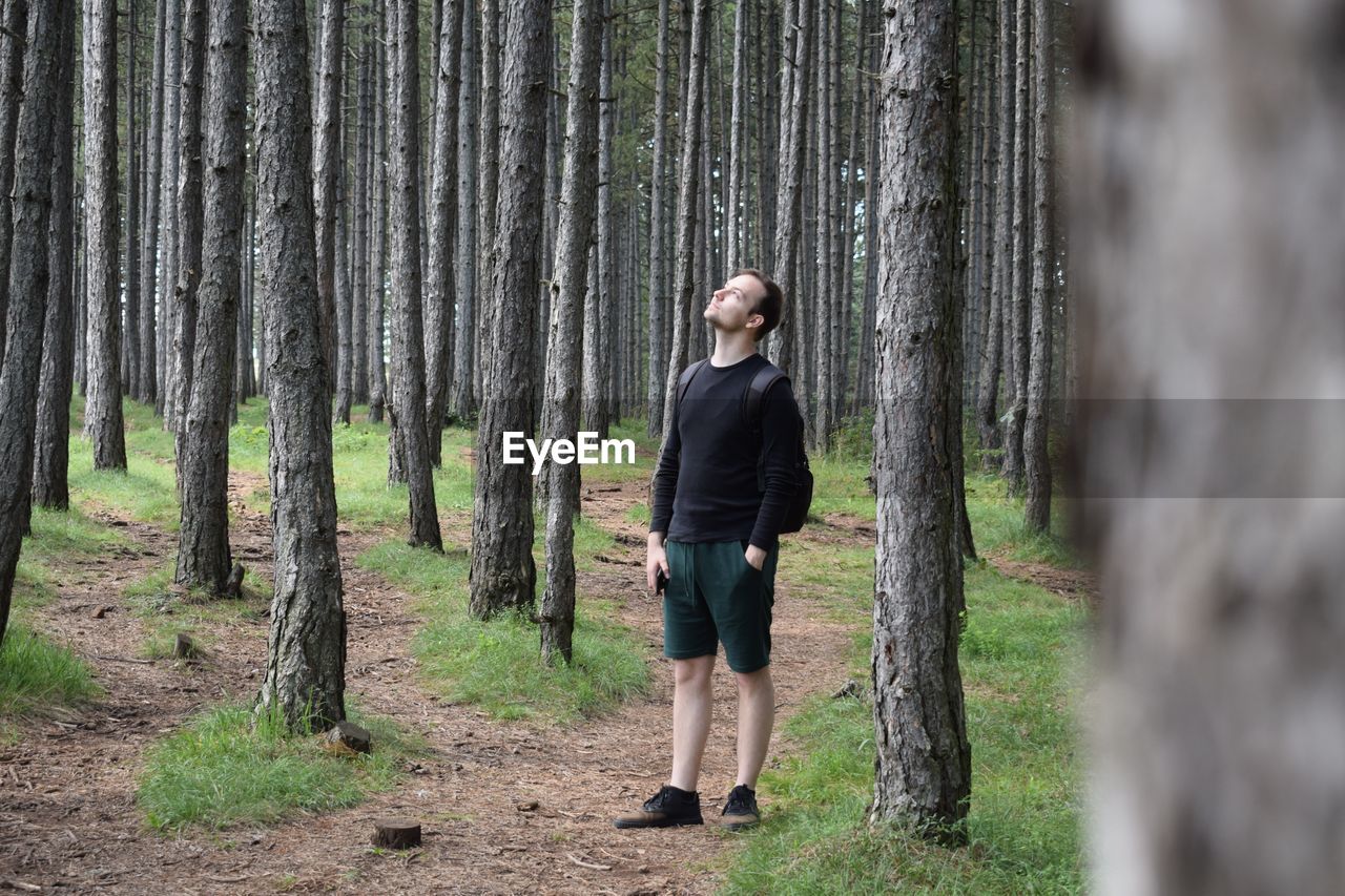 Rear view of man standing by tree trunk in forest