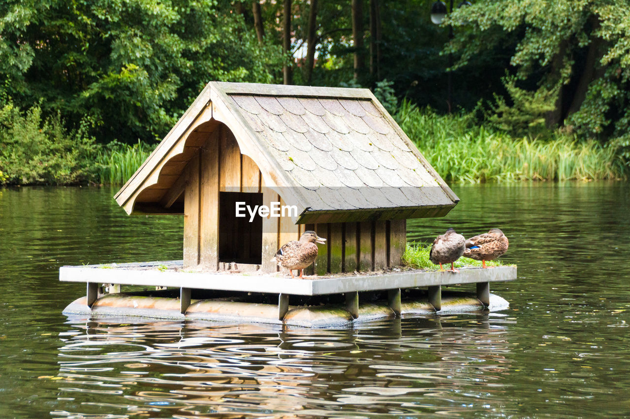 Stilt house on lake against trees