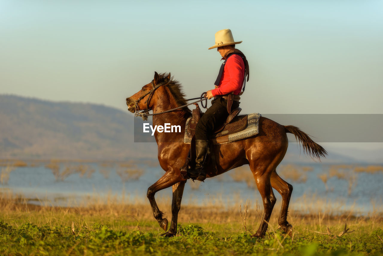 PERSON RIDING HORSE ON FIELD