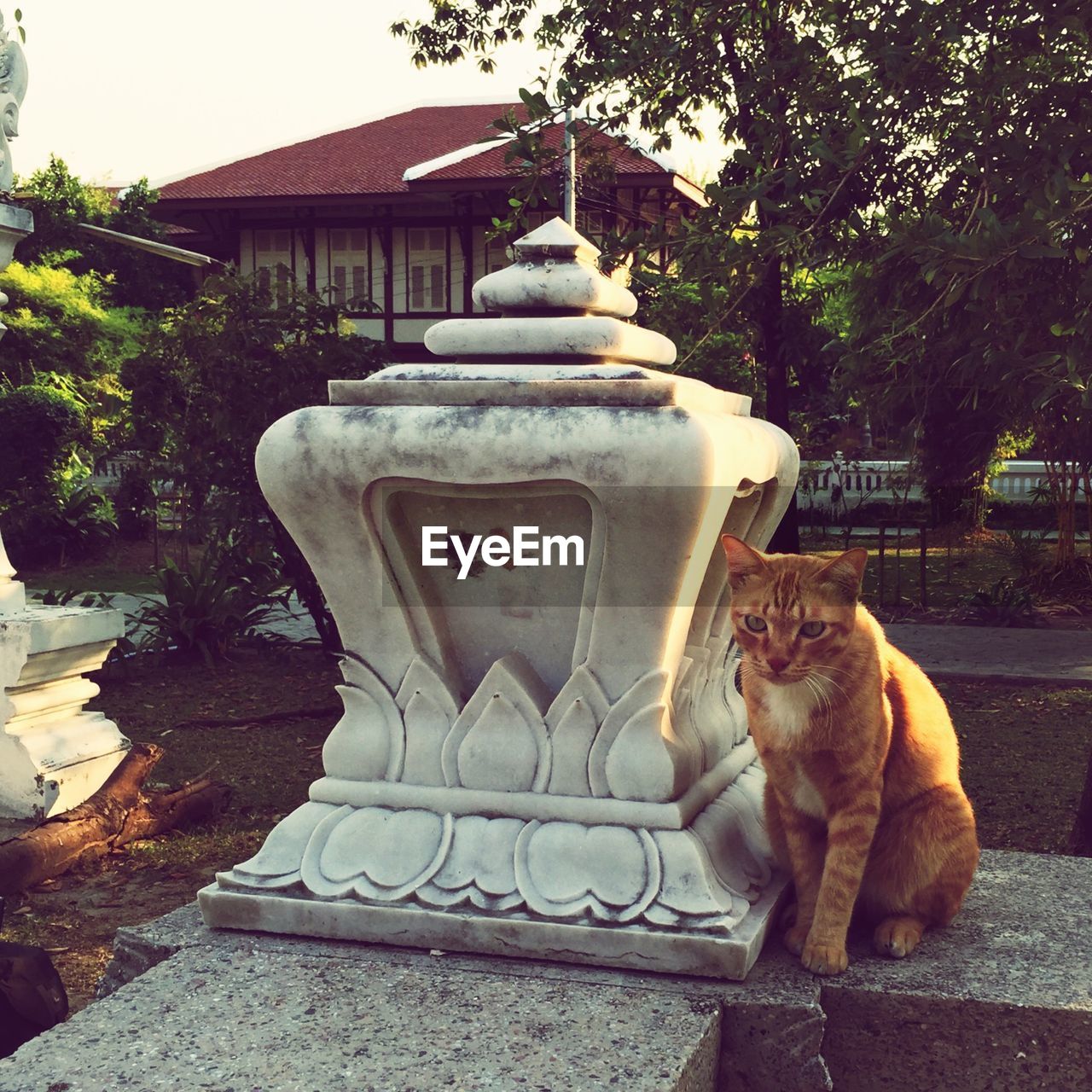 Cat sitting next to sculpture