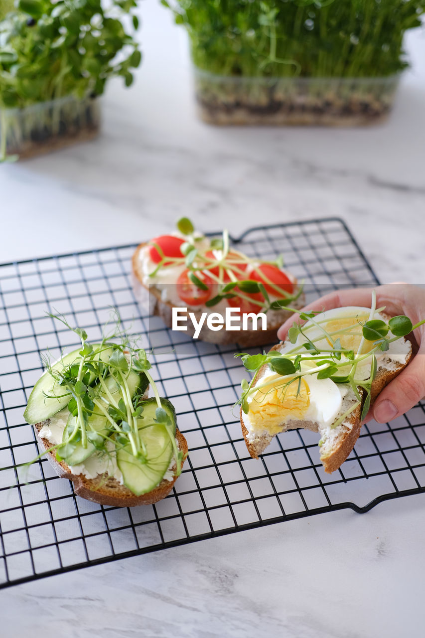 Delicious healthy sandwich with boiled egg and microgreens