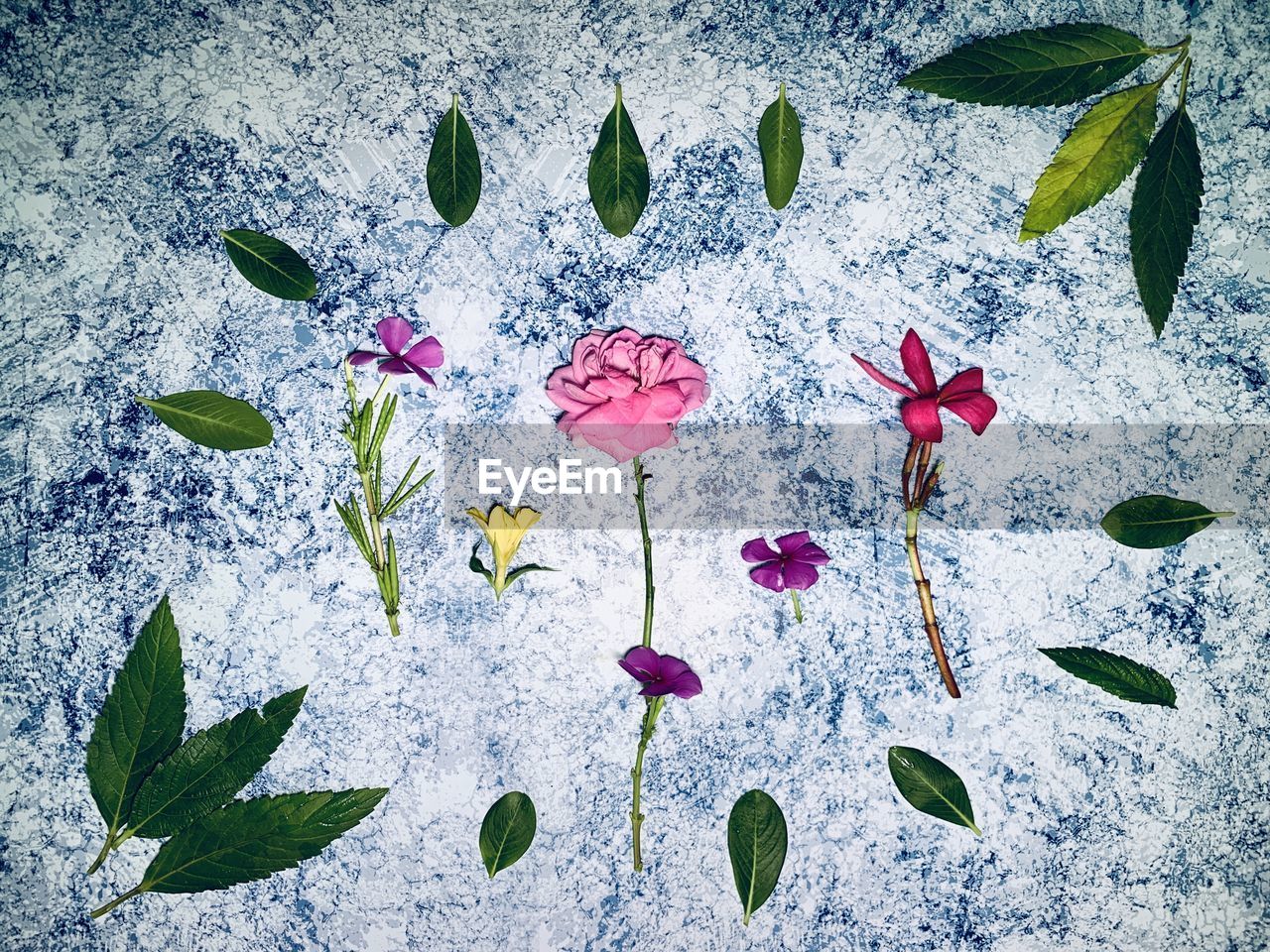 HIGH ANGLE VIEW OF FLOWERING PLANTS IN WATER