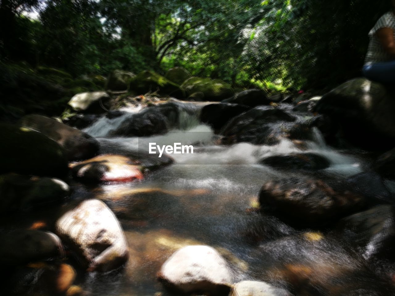 STREAM FLOWING THROUGH ROCKS IN FOREST