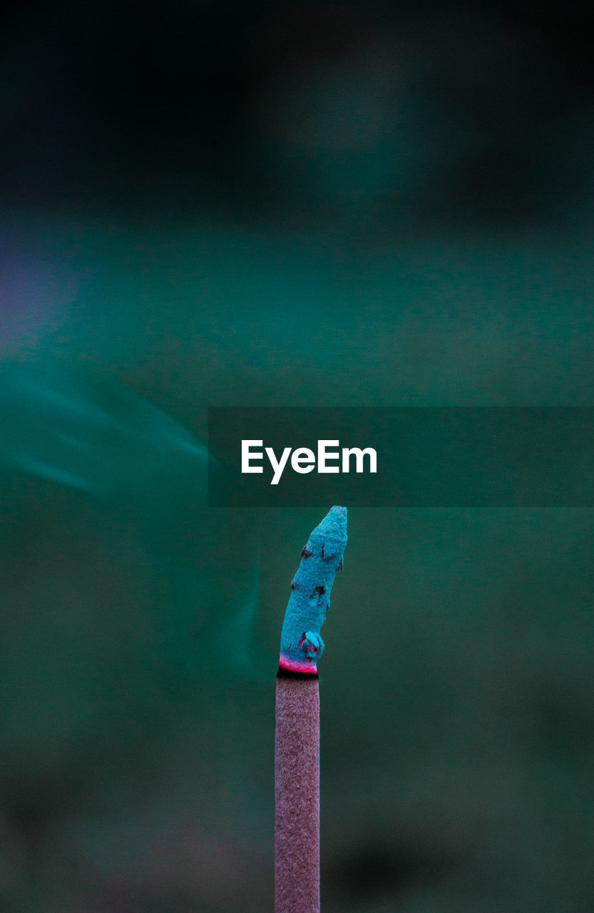 Close-up of blue umbrella on wood