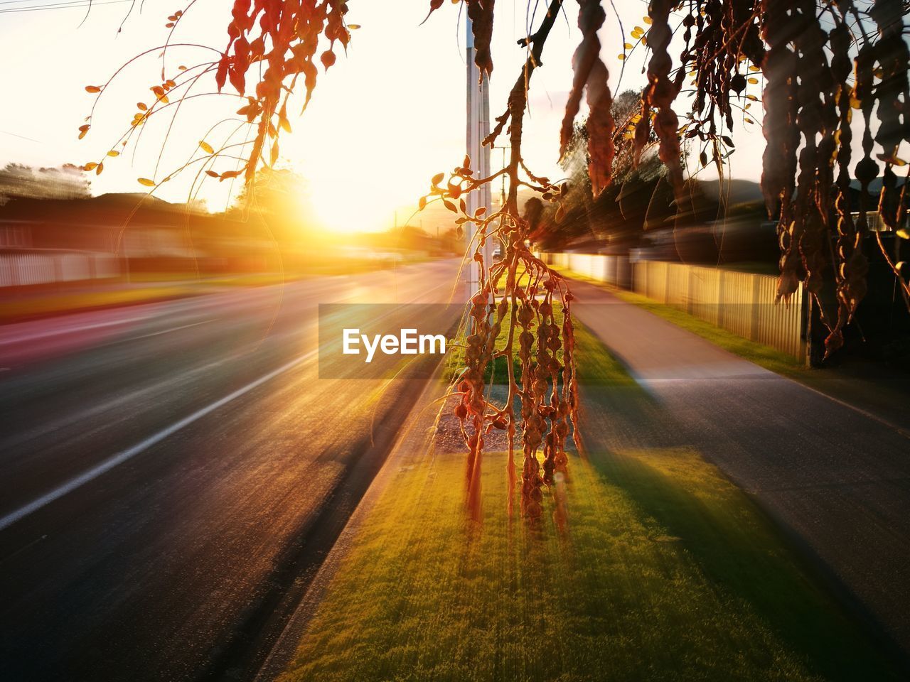 View of road in city at sunset