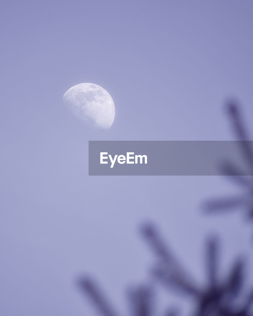 LOW ANGLE VIEW OF MOON IN SKY