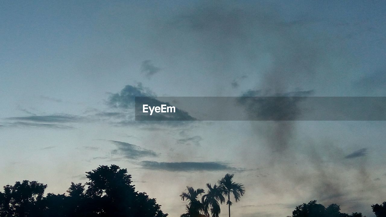 SILHOUETTE OF TREES AGAINST CLOUDY SKY