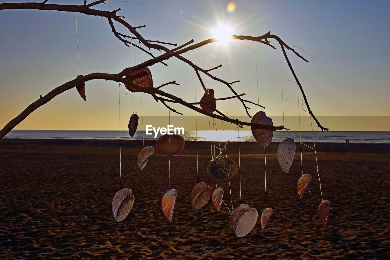 Scenic view of sea against sky during sunset. clam ornament hanging on the beach