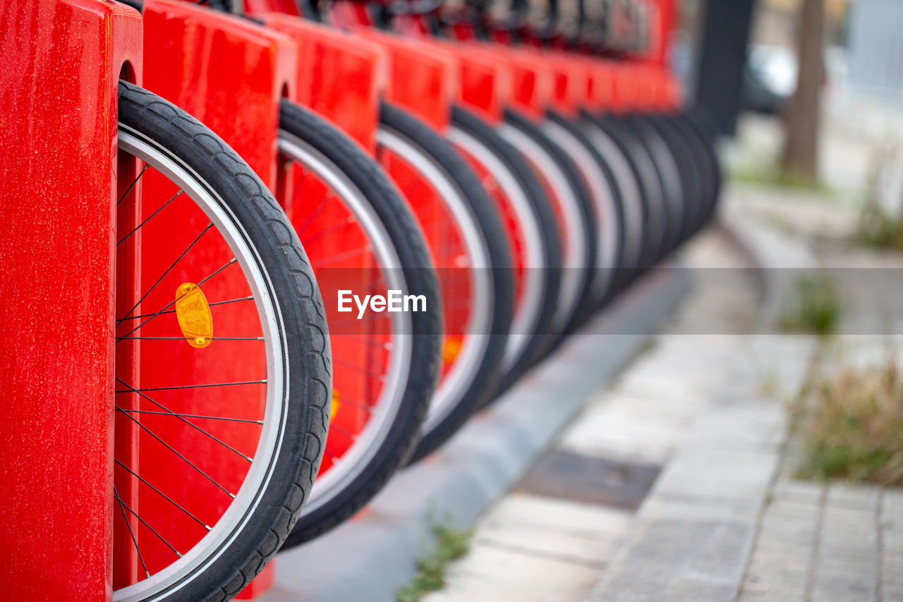 Red bicycles stand in a row on a parking for rent. eco friendly transportation concept.