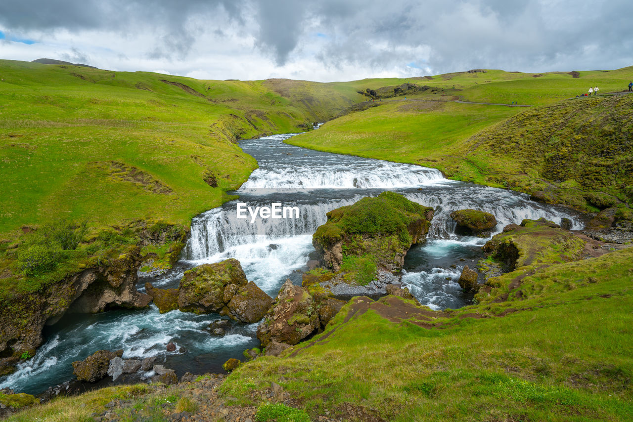 scenic view of waterfall in forest